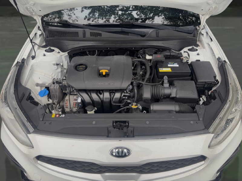 2019 Kia Forte
