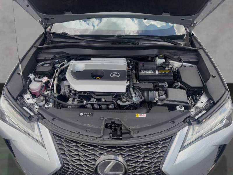 2020 Lexus UX
