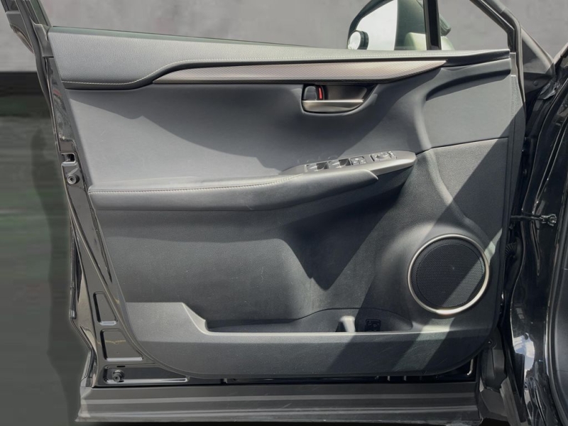 2019 Lexus NX