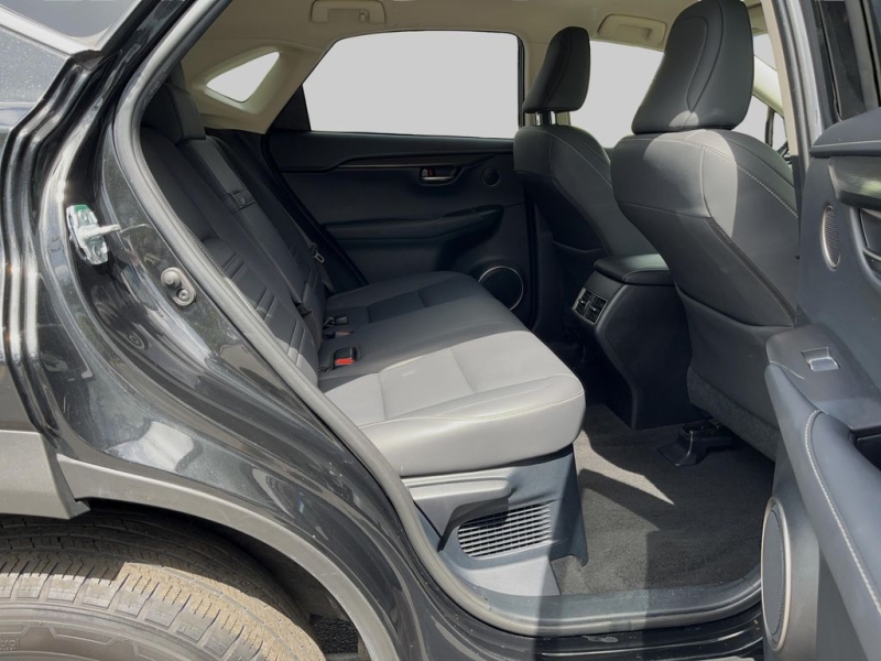 2019 Lexus NX