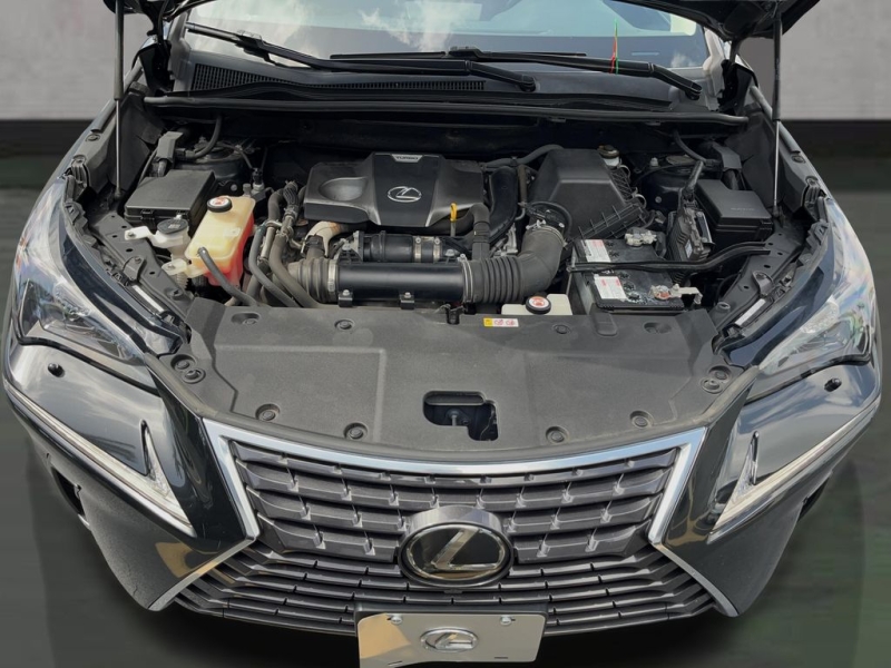 2019 Lexus NX