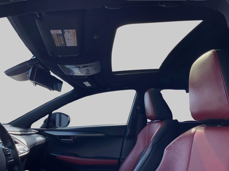 2019 Lexus NX