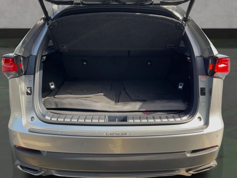 2019 Lexus NX