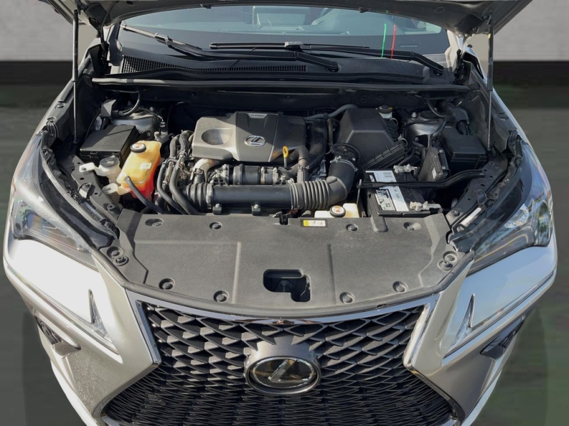 2019 Lexus NX
