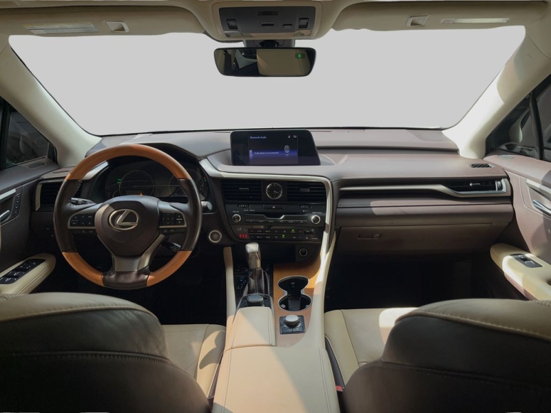 2019 Lexus RX