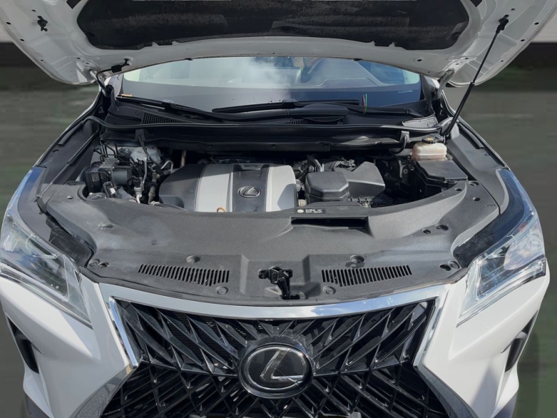 2019 Lexus RX