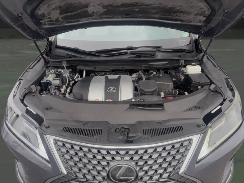 2020 Lexus RX