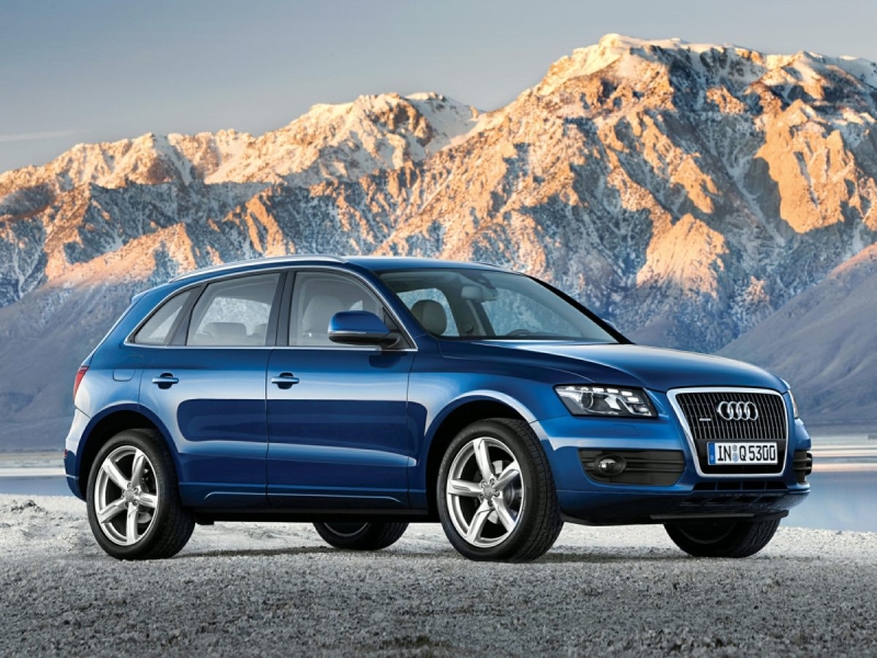 2010 Audi Q5
